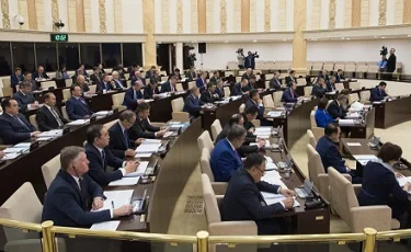 Сенаторы Казахстана против прямых выборов акимов