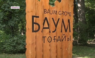 В Алматы благоустраивают рощу Баума