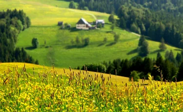 23-29 шілде аралығына арналған ауа райы болжамы