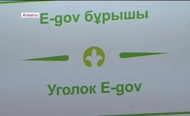 Алматыда жарты жылда 6 мыңнан астам серіктестік тіркелген