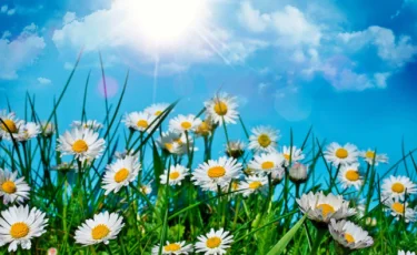 5-11 тамызға арналған ауа райы болжамы