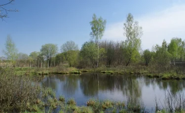 Тело женщины находилось в водоёме несколько месяцев — полиция Костаная