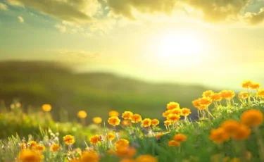 13-19 тамызға арналған ауа райы болжамы