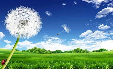 20-26 тамыз аралығына арналған ауа райы болжамы