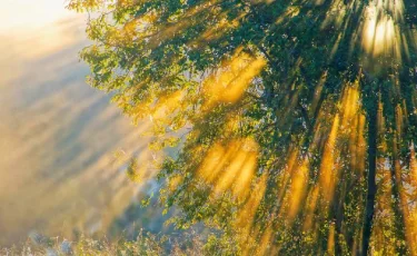 Алдағы аптада Алматыда күн қайта ысиды