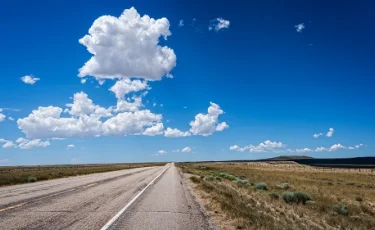 Почему вдоль новых дорог не растут деревья - Мажилис 