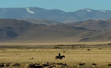 Алматы облысында әйел адамды зорлап өлтірді деген күдікпен шопан ұсталды