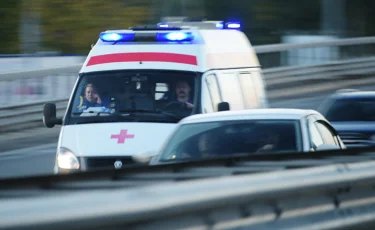 Түркістан облысында жантүршігерлік апат: жылқының кесірінен 5 адам өлді