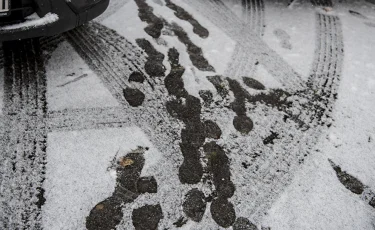 Қарағанды облысының тұрғыны өз әйелі мен қызын басып кетті