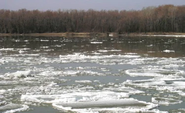 Аязда жалаң аяқ кетіп қалған: Қостанай облысында жоғалып кеткен қыздың өлімінің мән-жайы белгілі болды