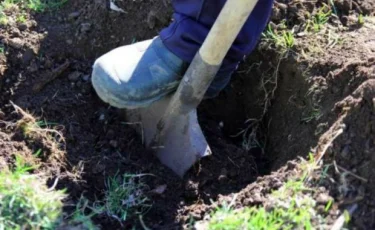 Түркістан облысында жас қызды тірідей көміп тастаған. Оқиғаға қатысты сұмдық жайттың беті ашылды