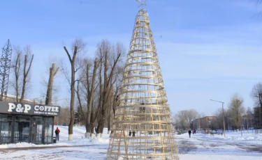 Странную новогоднюю елку установили в Усть-Каменогорске