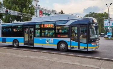 Акимат Алматы расторг договор с шымкентским перевозчиком "Green Bus"