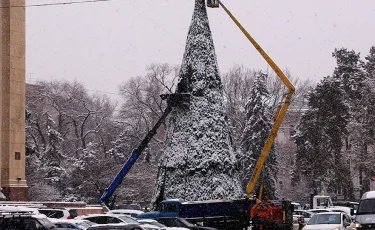 Бес метрлік шырша кішкентай баланың үстіне құлап кетті – қорқынышты видео