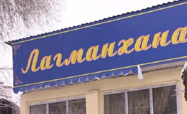 Алматы орталығындағы лағманхана тағамдарынан қауіпті бактериялар табылды