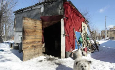 В Казахстане могут запретить жить во времянках 