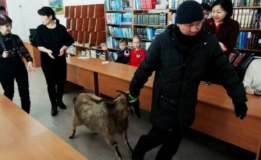 Живую козу за 125 прочитанных книг подарили пятикласснику из Теренколя 