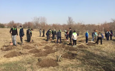 ҚР Тұңғыш Президенті саябағына 100 түп бөртегүл отырғызылды