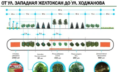 Алматыда әл-Фараби даңғылының бойына 700-ден астам ағаш отырғызылады