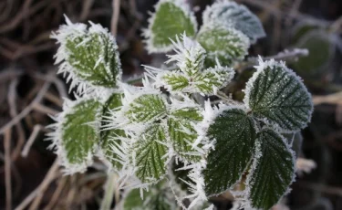 Еліміздің кей өңірлерінде -10°С аяз болады