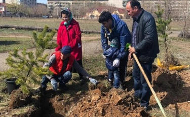 Аллея в честь новорожденных появилась в Экибастузе