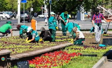 Более 8 млн цветов высадят в столице Казахстана