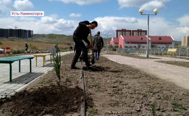 На субботник в Усть-Каменогорске вышли сторонники Амиржана Косанова