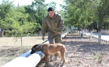 Арыс: өрт толық сөндірілді