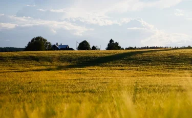 Маңғыстау облысында ауыл әкімі 180 жуық заңсыз жер телімін үлестірген