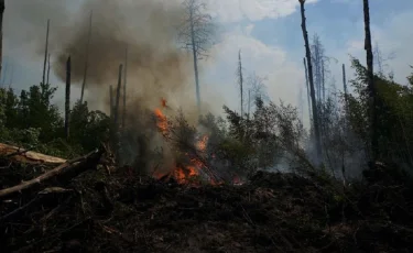 Наурызым қорығы тағы да өртенді 