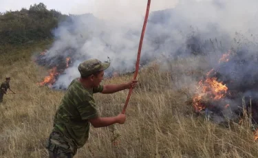 Степной пожар в Алматинской области: есть погибшие