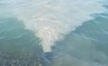  Сточные воды в Алаколе: как накажут гостиницу 