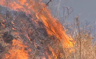 Алматыда Көктөбе жотасы екі күннің  ішінде 3 рет өртке оранды