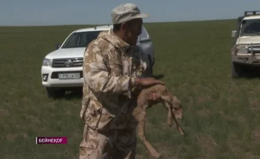 Дело об убийстве инспектора "Охотзоопрома" Ергалиева поступило в суд