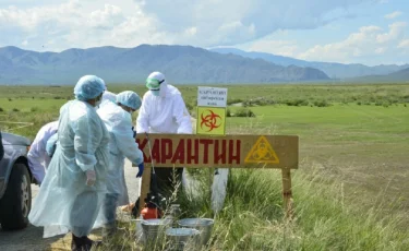 Ақмола облысында сібір жарасының қаупі сейілді