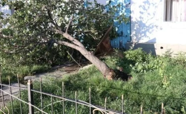 Ыстық көлдегі сұрапыл дауылдан бір адам жансақтау бөліміне түсті