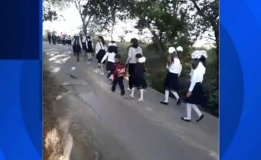 Көктал елдімекенінде көпір құлағалы тұр