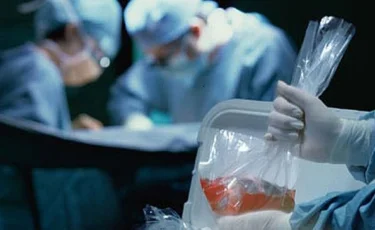 Адам ағзасын «ет» деп сатқан қылмыстық топ анықталды