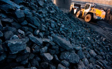 Алматыда биыл көмір бағасы тұрақты