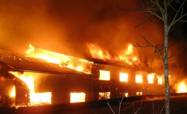 Павлодар облысында атқора өртеніп, 9 жылқы жанып кетті