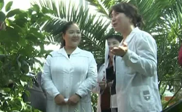 Нұр-Сұлтанда папайя мен апельсин жеміс бере бастады