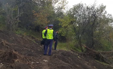 Виновные в вырубке яблонь и краже чернозема в горах Алматы установлены 