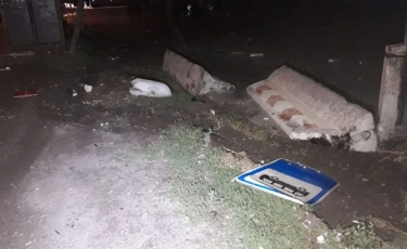 Жүргізуші қол жүгірте бастаған: белгілі актриса жүріп бара жатқан көліктен секіріп кетті 