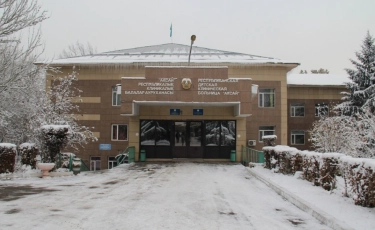 В Алматы из печени ребенка удалили 160 червей