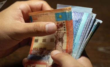 Более $32 тысяч страховых выплат получат семьи погибших в авиакатастрофе под Алматы  