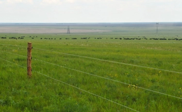 Солтүстік Қазақстанда бес ауылдың жері сатылып кетуі мүмкін