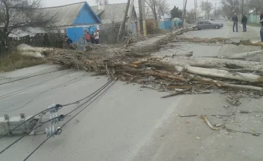 Ураган снес крыши нескольких зданий в Жамбылской области 