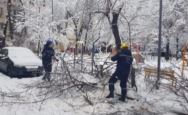 Обильный снегопад в Алматы: в разных районах города произошло падение веток и деревьев