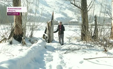 Шымбұлақ ауылында шіріген ағаштың кесірінен үй өртеніп кетті