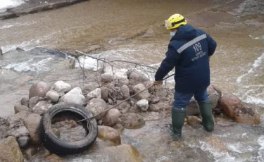 ДЧС оперативно отреагировал на просьбу жителей Наурызбайского района